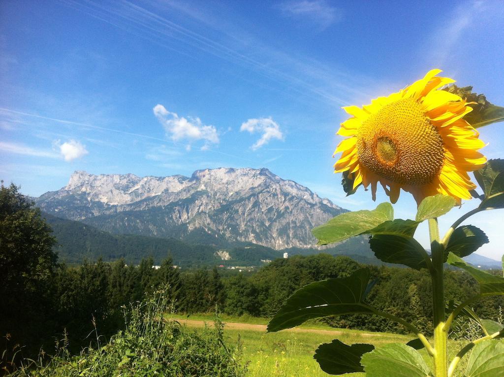 Pension David Hotel Puch bei Hallein Luaran gambar