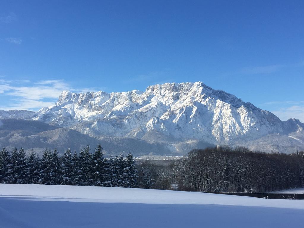 Pension David Hotel Puch bei Hallein Luaran gambar