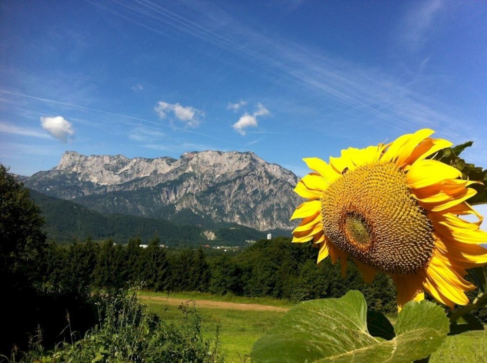 Pension David Puch bei Hallein Luaran gambar